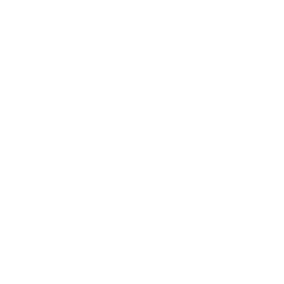 Viv Support
